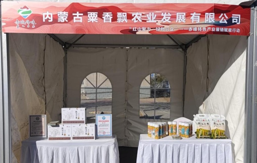 1745370982690296.jpeg 3.jpeg